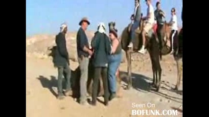 Дебелак размазва камила