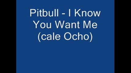 Pitbull - I Know You Want Me (cale Ocho)