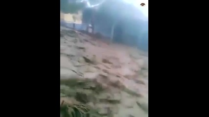 Ужaс в Сърбия...