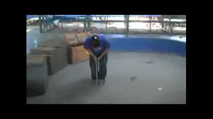 King Cobra Snakeshow.
