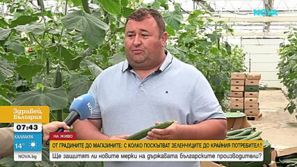 От градините до магазините: С колко поскъпват зеленчуците до крайния потребител?