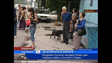 Глутница кучета тормози сляпа жена всекидневно 