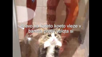 Някъф Извратен :d :d
