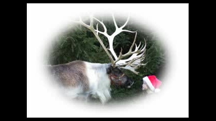 Rudolf The Red Nosed Reindeer - Ray Charles