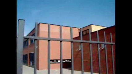 Freerun Treilar