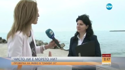 Чисто ли е морето у нас?