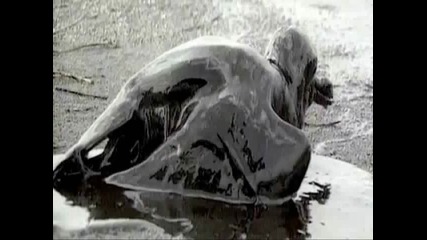 Linkin Park - What Ive Done