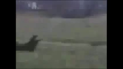 Смешни падания!!! 