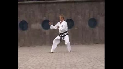 Taekwondo Itf Poeun Tul