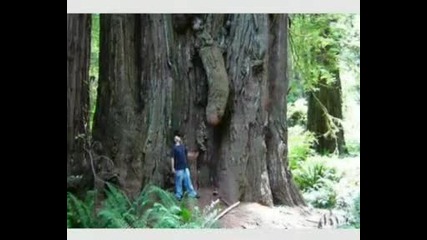 perverznata priroda smjah vbox7 