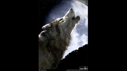 Вълците 