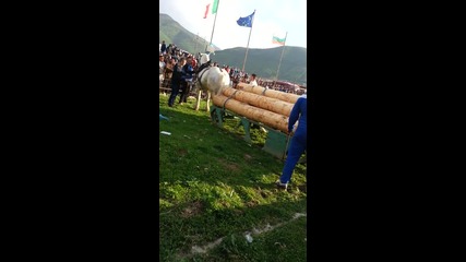 kone varvara