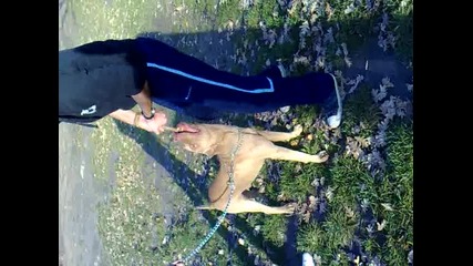 gadjooo :d