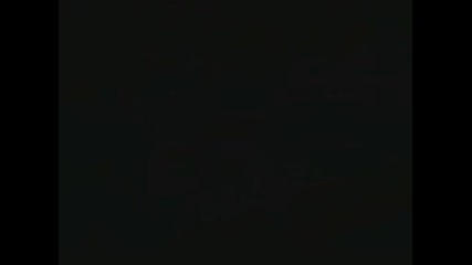 Най - Голямото Животно В Света