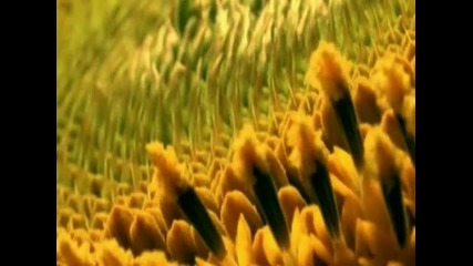 Oceanlab - Miracle (above & Beyond Club Mix Radio Edit) 