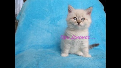 Дисни момичета 6ep. 