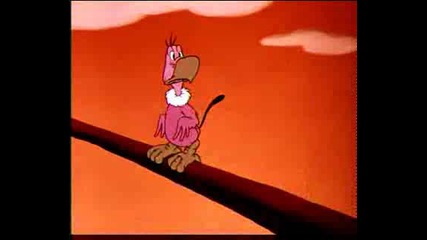 Donald Duck - Contrary Condor