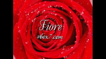 13. Lara Fabian - " Bridge of Hope " /албум Carpe diem/