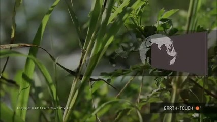 Докосване до дивият свят