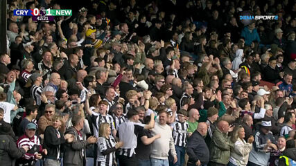 Goal by Newcastle United