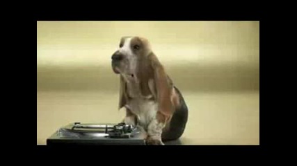 Куче прави Beatbox