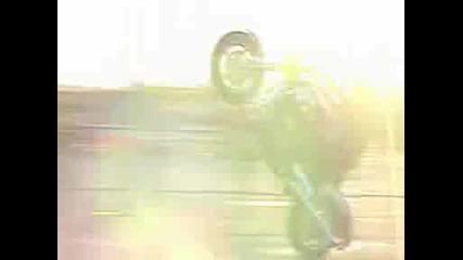 Kyle Triumph Wheelie