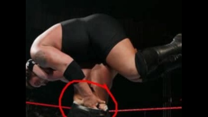 Funny Pics