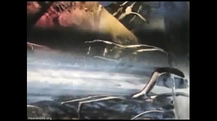 Най бързата рисунка