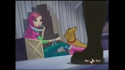 Winx Club 4 - Papa cono una fata you tube