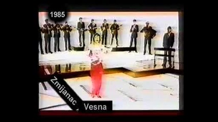 Vesna Zmijanac - Koga volim, ja ga volim - 1987