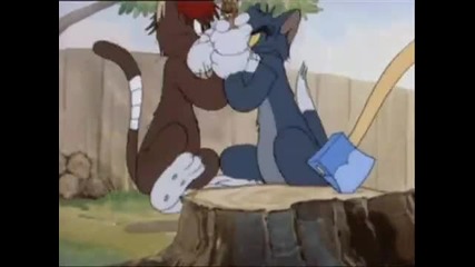H D - tom & jerry - cartoon nhtv - av1 