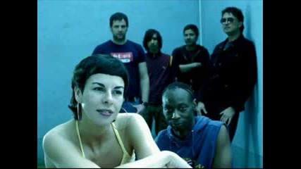 n. o. h. a - dive in your life