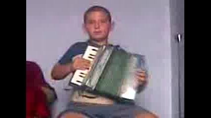 muzikant