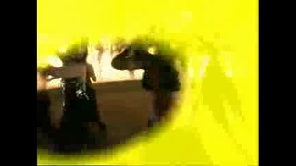BRITNEY SPEARS - CIRCUS DJ RUFATOS TRIBAL MIX ( VJ LEONARDO VIDEO UP MIX 2008 )