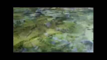 Красотата На Планетата Земя ... 
