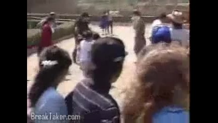 По смешни животни, не сте виждали! 