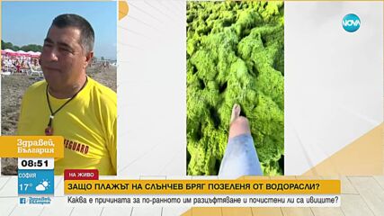 Защо плажът на „Слънчев бряг” позеленя от водорасли