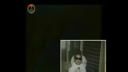 titanik - kucek