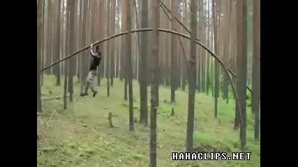 Russian tree rider - яко 