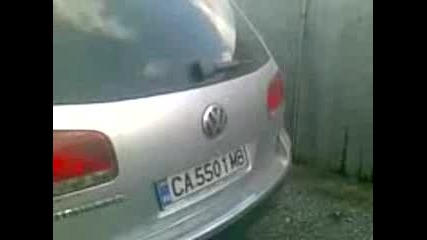 Volueshki Taureg