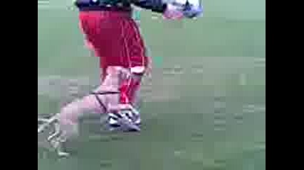 Bebo.mp4.3gp