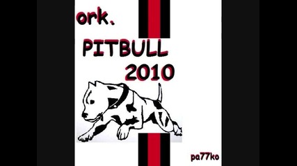 ork. Pit Bull 2010 