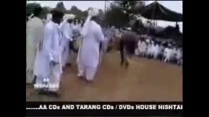 arabski kon tancuva