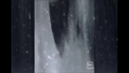Bella Swan - Only Human [b/e][b/j]