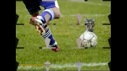Доста Смешни И Забавни Снимки ... 