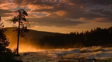 Harmony of nature