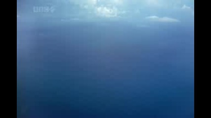 Wonderful Chill Out Music - The Ocean