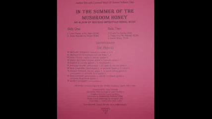 In The Summer Of The Mushroom Honey - Clouds On Sunday - 1998