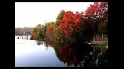 Canon In D Major