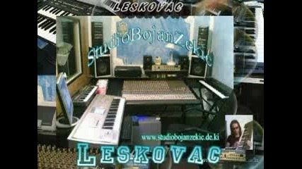 Studio Bojan Zekic - Leskovac - Ljubisa I Zavicaj ( Novo20 